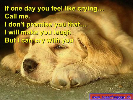 If one day you feel like crying… Call me. I don’t promise you that…