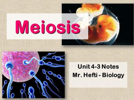 Meiosis Unit 4-3 Notes Mr. Hefti - Biology. 1. Definition Cell division that occurs only in gonads producing gametes. –Spermatogenesis - in testes.