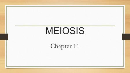 MEIOSIS Chapter 11. I. Meiosis A. Nuclear division that produces sex cells /gametes B. In REPRODUCTIVE ORGANS only C. 2 divisions: Meiosis I & Meiosis.