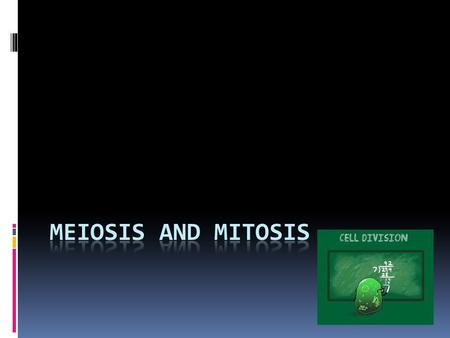 Mitosis  Mitosis is the form of cell division that occurs during the cell cycle  In mitosis the parent cell divides to produce two genetically identical.