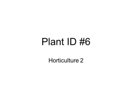 Plant ID #6 Horticulture 2. Hemerocallis cv. –Day Lily –Foliage: perennial, simple, linear shape with entire margin, leaf folded –Height: 1-3 feet –Spread: