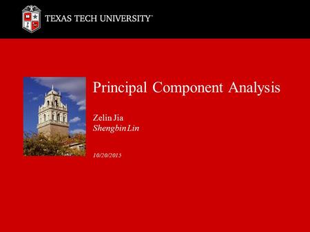 Principal Component Analysis Zelin Jia Shengbin Lin 10/20/2015.
