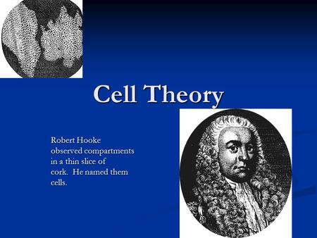 Cell Theory Robert Hooke observed compartments in a thin slice of cork. He named them cells.