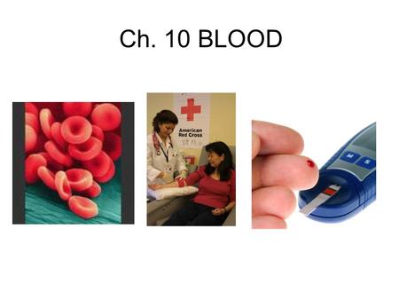 Ch. 10 BLOOD. PHLEBOTOMIST person trained to draw blood from a patient for clinical or medical testing, transfusions, donations, or research.