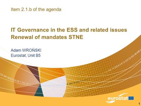 1 Item 2.1.b of the agenda IT Governance in the ESS and related issues Renewal of mandates STNE Adam WROŃSKI Eurostat, Unit B5.