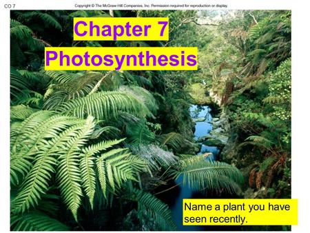 Chapter 7 Photosynthesis