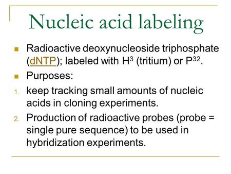 Nucleic acid labeling Radioactive deoxynucleoside triphosphate (dNTP); labeled with H 3 (tritium) or P 32.dNTP Purposes: 1. keep tracking small amounts.