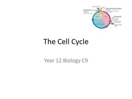 The Cell Cycle Year 12 Biology C9. Draw a circle to the left hand side of the page.