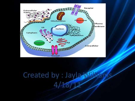 Created by : Jayla Williams 4/18/11. The nucleus is like a brain because the brain controls the body like the nucleus controls the cell.