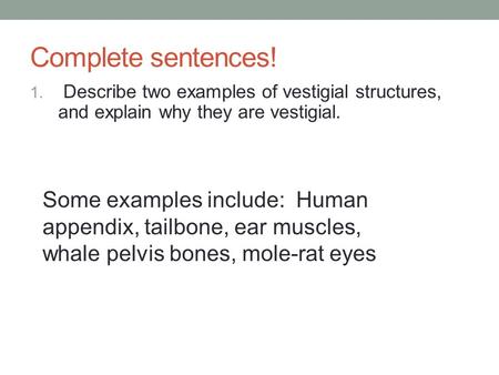 Complete sentences! 1. Describe two examples of vestigial structures, and explain why they are vestigial. Some examples include: Human appendix, tailbone,
