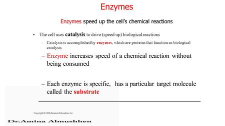 Enzymes Enzymes speed up the cell’s chemical reactions The cell uses catalysis to drive (speed up) biological reactions –Catalysis is accomplished by enzymes,