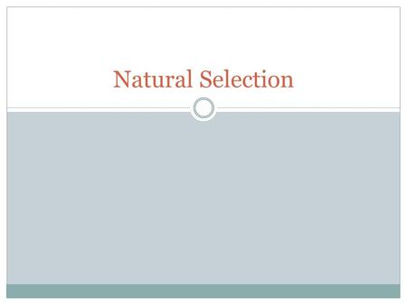 Natural Selection. What is natural selection? Natural selection is the process by which certain individuals of a species are better adapted to the environment.