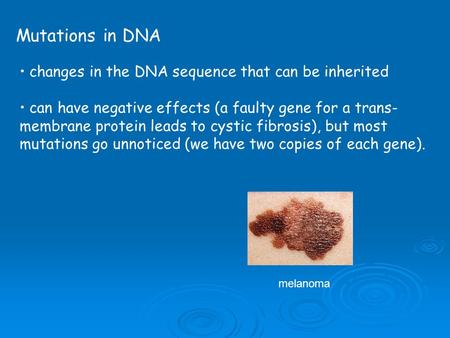 Mutations in DNA changes in the DNA sequence that can be inherited can have negative effects (a faulty gene for a trans- membrane protein leads to cystic.