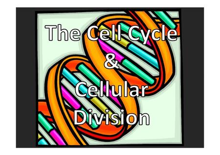•  All cells are derived from preexisting cells