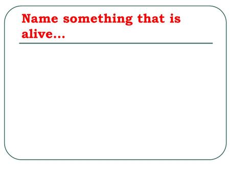 Name something that is alive…