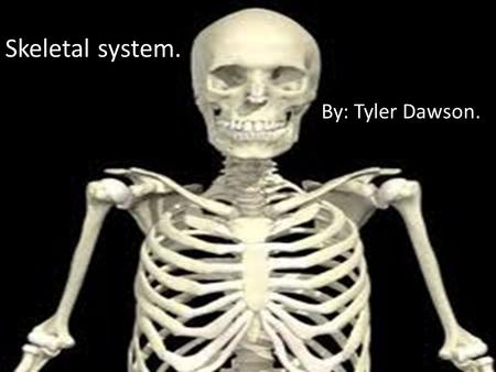 Skeletal system. By: Tyler Dawson.. The systems purpose. The skeletal system’s purpose is to give the body its shape and support. Without this system,