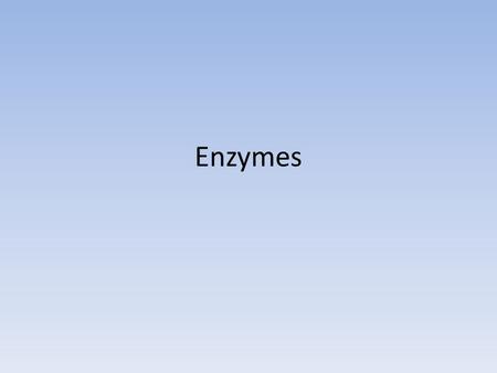 Enzymes. Enzymes are… Proteins that act as catalysts (accelerate reactions) by creating a new reaction pathway Are specific for what they catalyze and.