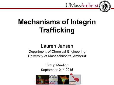 Mechanisms of Integrin Trafficking