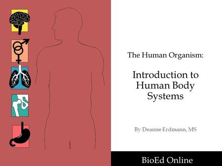 The Human Organism: Introduction to Human Body Systems