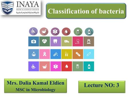 Classification of bacteria Mrs. Dalia Kamal Eldien MSC in Microbiology Mrs. Dalia Kamal Eldien MSC in Microbiology Lecture NO: 3.