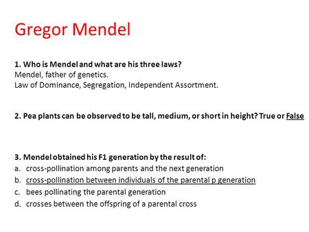 Gregor Mendel 1. Who is Mendel and what are his three laws? Mendel, father of genetics. Law of Dominance, Segregation, Independent Assortment. 2. Pea plants.