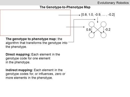 Evolutionary Robotics The Genotype-to-Phenotype Map The genotype to phenotype map: the algorithm that transforms the genotype into the phenotype. Direct.