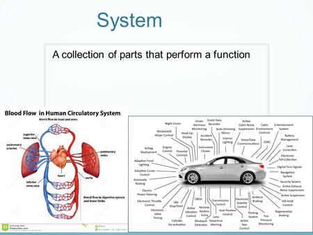 System A collection of parts that perform a function.
