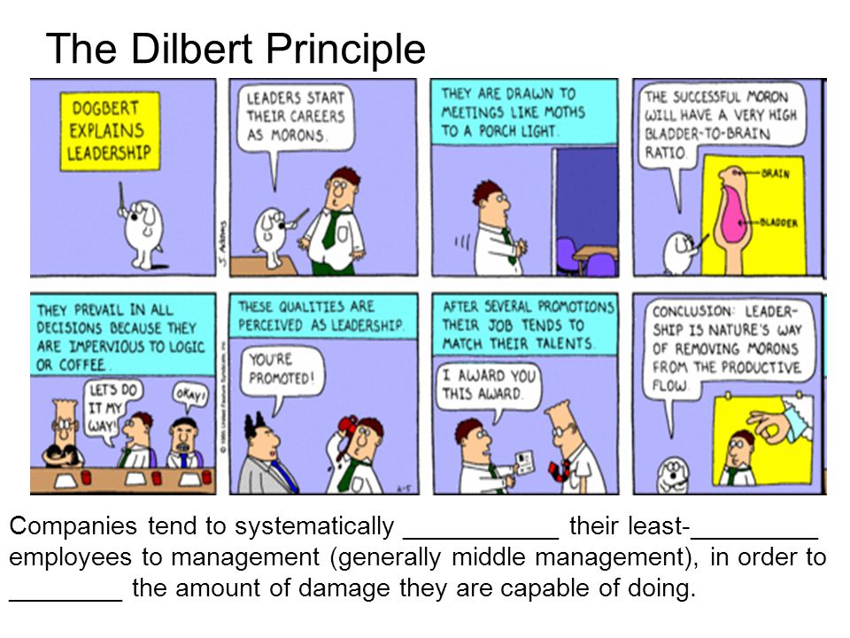 Scott Adams The Dilbert Principle Download Skype
