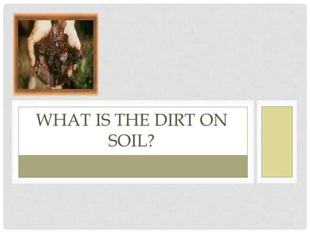 What is the dirt on soil?.