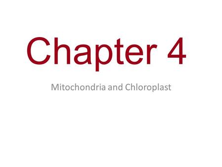 Chapter 4 Mitochondria and Chloroplast. You must know The structure and function of mitochondria and chloroplasts. The evolutionary origin of mitochondria.