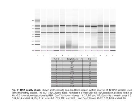 Fig. S1 RNA quality check. Shown are the results from Bio-Rad Experion system analysis of 12 RNA samples used in the microarray studies. The RQI (RNA Quality.