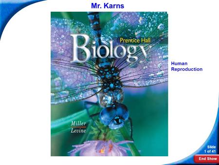 End Show Slide 1 of 41 Biology Mr. Karns Human Reproduction.