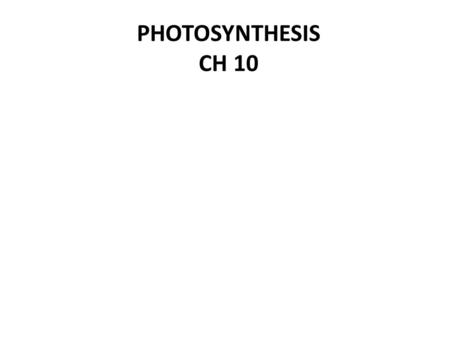 PHOTOSYNTHESIS CH 10. Autotrophs are the worlds producers. Photoautotrophs produce organic molecules using solar energy. Chemoautotrophs produce organic.
