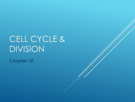 CELL CYCLE & DIVISION Chapter 10. Cell Cycle Series of 4 ordered steps that result in duplication (copy) of the cell. When is it done? grow, repair, &