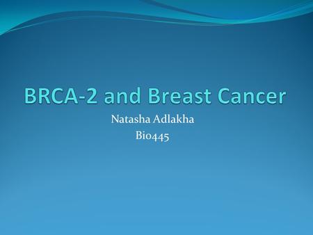Natasha Adlakha Bio445. Discovery in Breast Cancer Reverse Genetics BReast CAncer Gene 2 -1995 Chromosome 13 Tumor suppressor gene Penetrance Familial,
