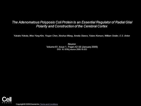 The Adenomatous Polyposis Coli Protein Is an Essential Regulator of Radial Glial Polarity and Construction of the Cerebral Cortex Yukako Yokota, Woo-Yang.