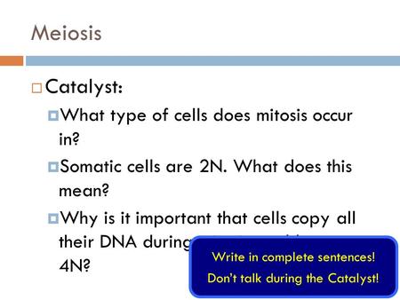 Meiosis Catalyst: What type of cells does mitosis occur in?