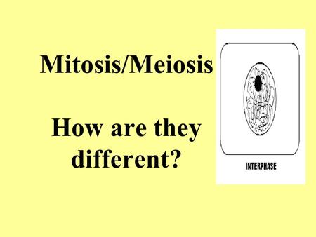 Mitosis/Meiosis How are they different?. The exchange of DNA between the chromatid arms on homologous pairs is called ________________ Crossing over This.