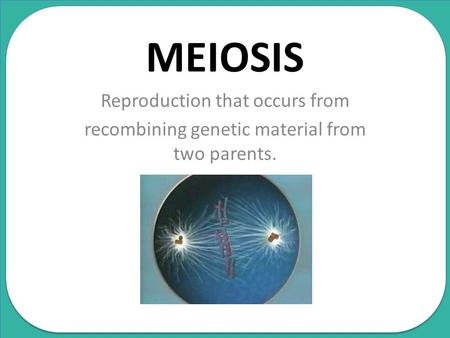 MEIOSIS Reproduction that occurs from recombining genetic material from two parents.