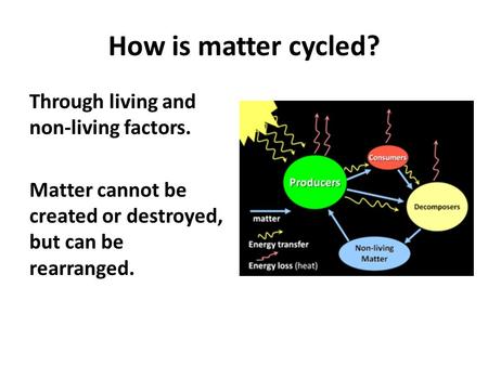 How is matter cycled? Through living and non-living factors. Matter cannot be created or destroyed, but can be rearranged.