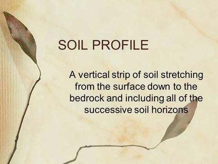 SOIL PROFILE A vertical strip of soil stretching from the surface down to the bedrock and including all of the successive soil horizons.