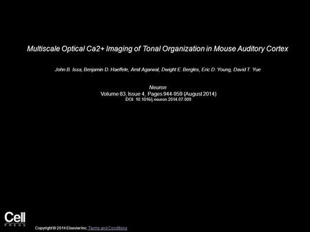 Multiscale Optical Ca2+ Imaging of Tonal Organization in Mouse Auditory Cortex John B. Issa, Benjamin D. Haeffele, Amit Agarwal, Dwight E. Bergles, Eric.