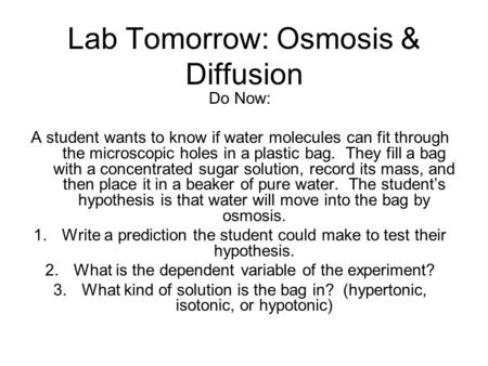 Lab Tomorrow: Osmosis & Diffusion Do Now: A student wants to know if water molecules can fit through the microscopic holes in a plastic bag. They fill.