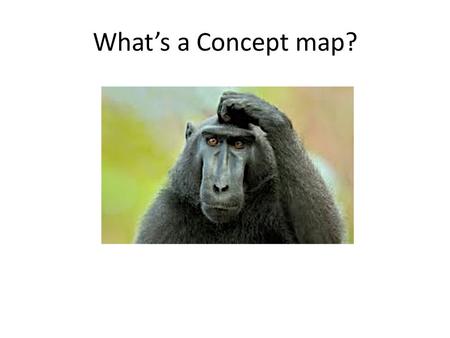 What’s a Concept map?.
