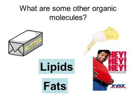 What are some other organic molecules? Lipids Fats.