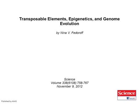 Transposable Elements, Epigenetics, and Genome Evolution