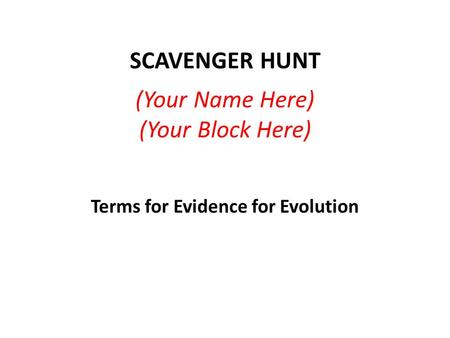 SCAVENGER HUNT (Your Name Here) (Your Block Here) Terms for Evidence for Evolution.