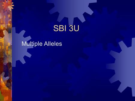 SBI 3U Multiple Alleles.