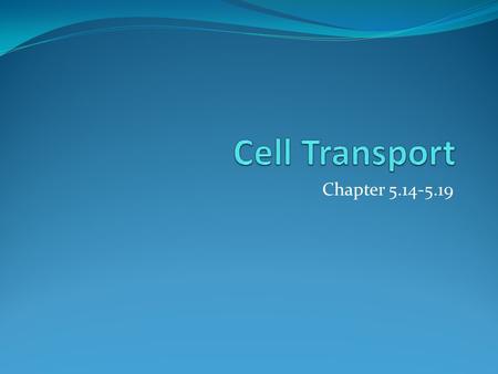 Chapter 5.14-5.19. Types of Transport Passive transport- No energy required Active Transport- Energy required Endo/Exocytosis- Energy required.