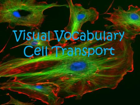 Visual Vocabulary Cell Transport. Cell Membrane A protective layer that covers the cell’s surface and acts as a barrier.